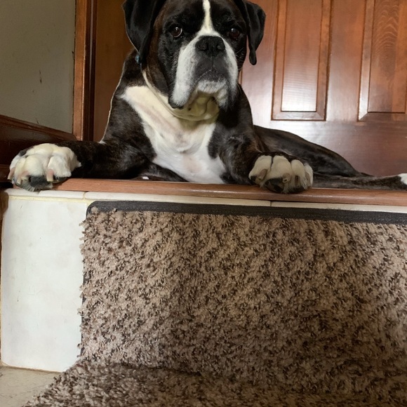 Meet your Posher, Marianne - Picture 3 of 3